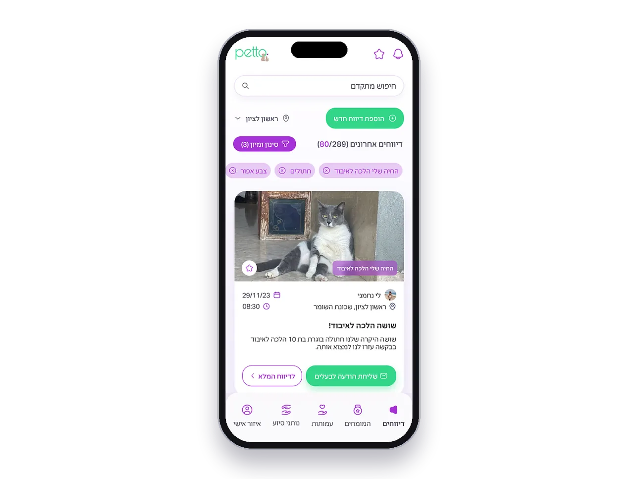 Petto — 03 screen