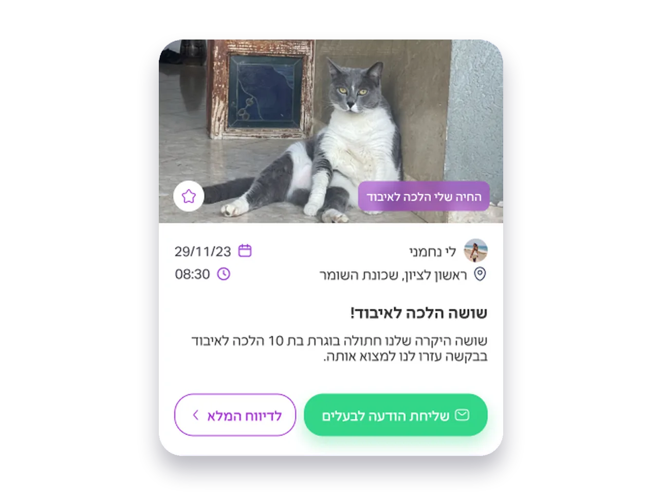 Petto — 04 screen